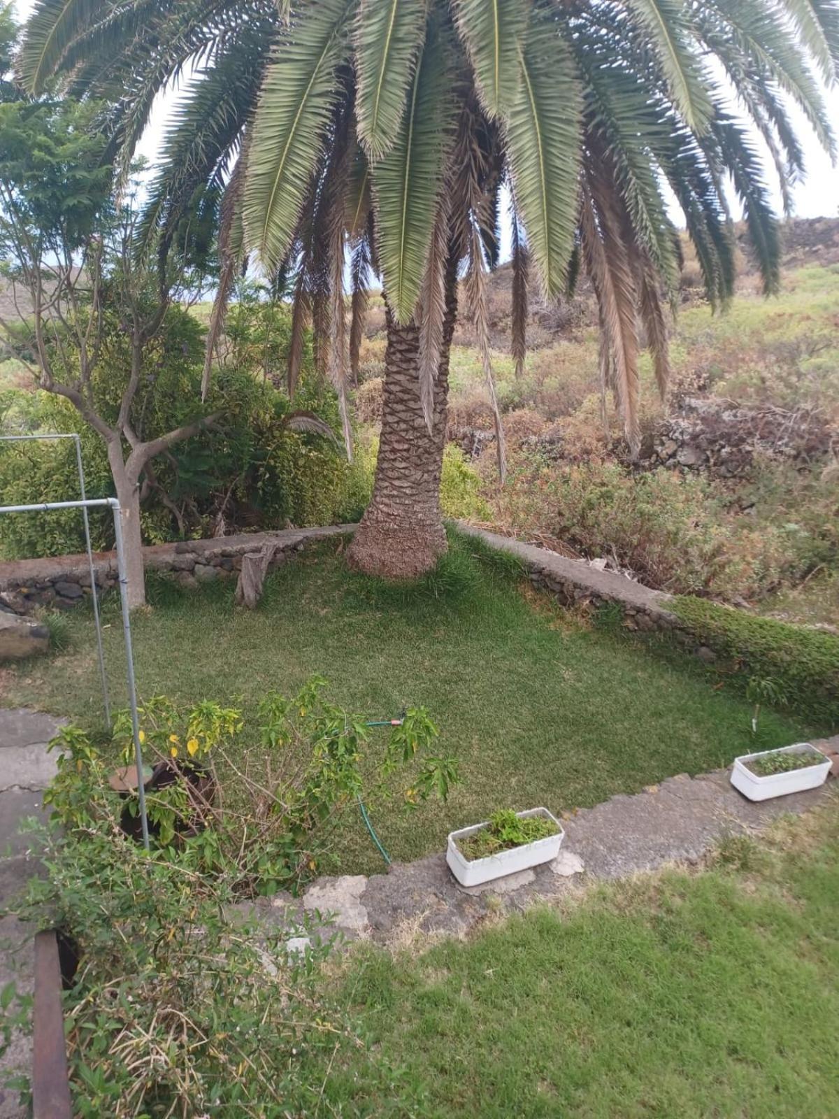 Casa Rural El Olivo De Mazo Exterior foto